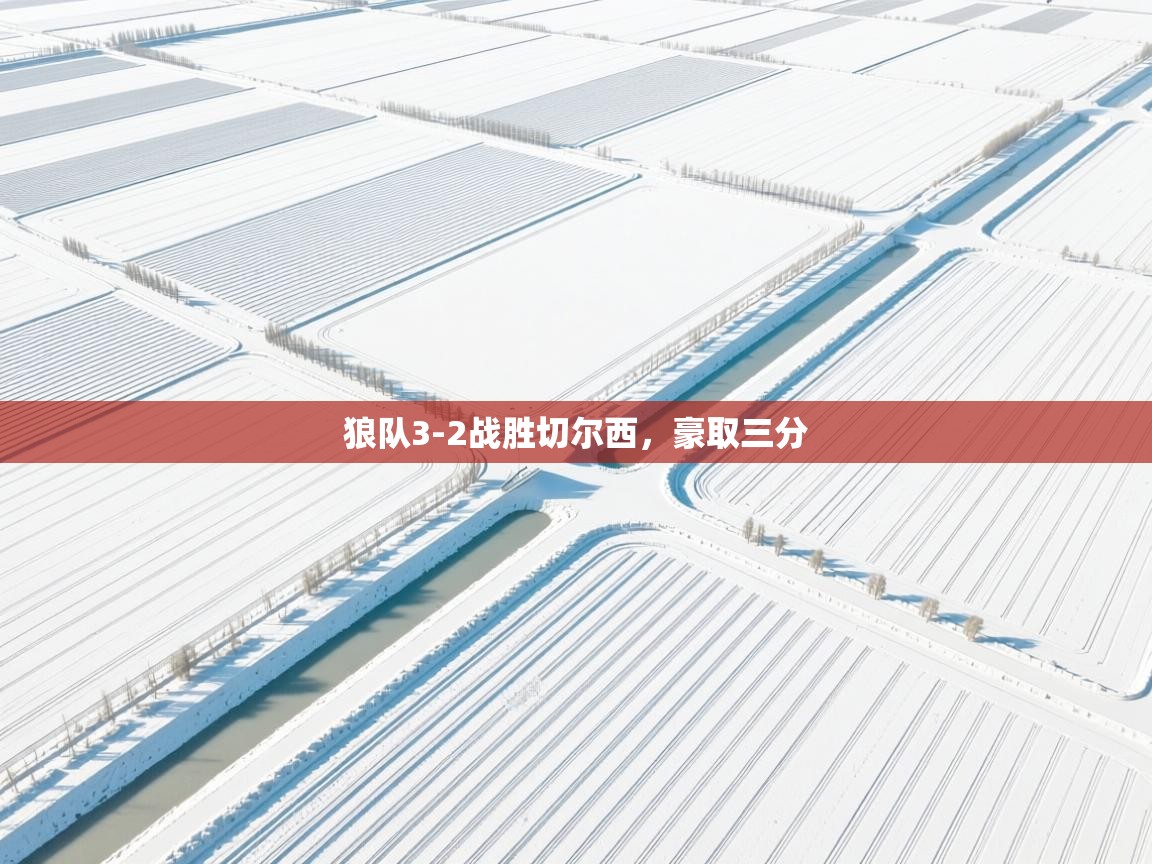 开云体育忘记密码找回-狼队3-2战胜切尔西，豪取三分