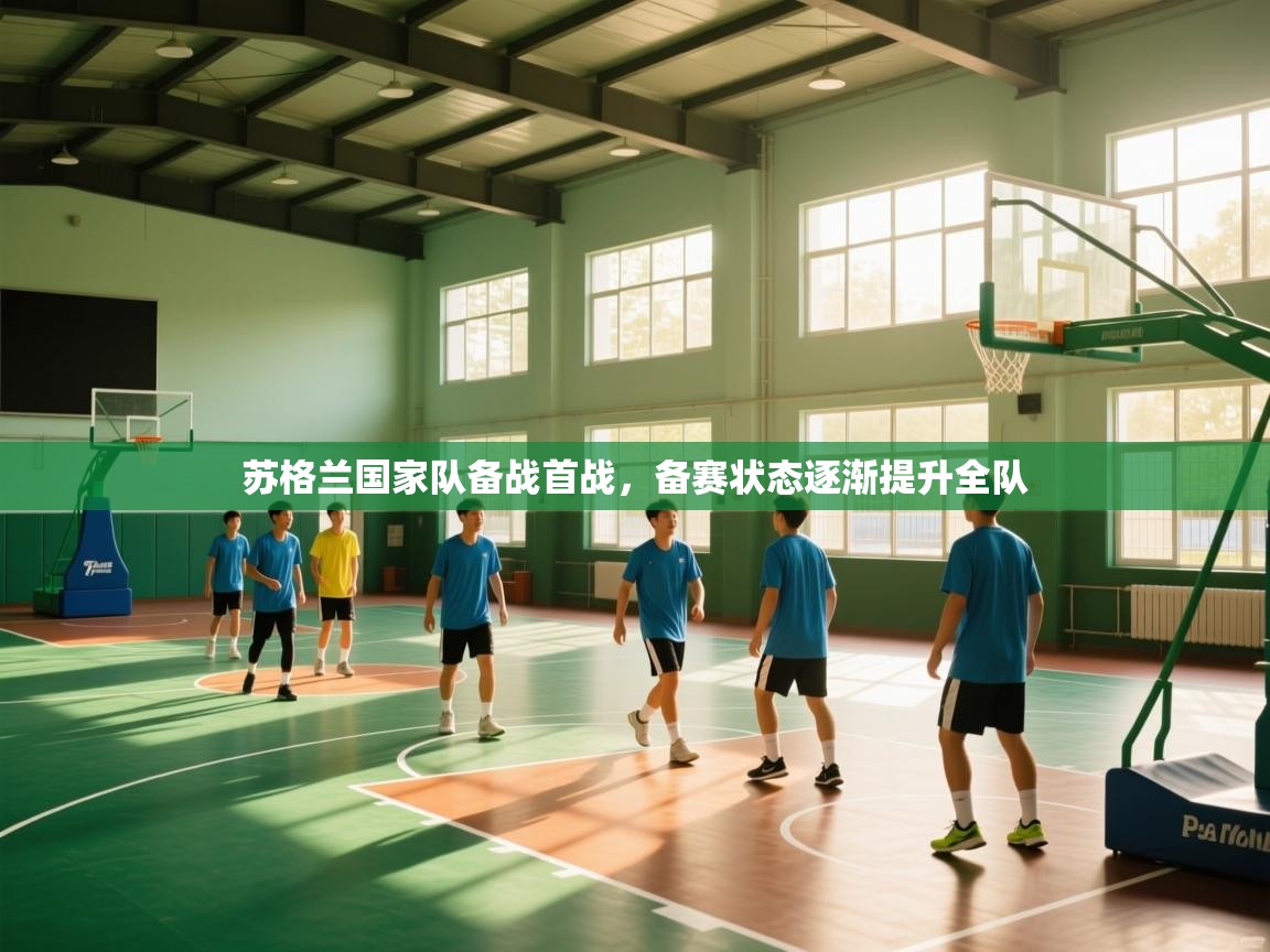 开云赛事直播-苏格兰国家队备战首战，备赛状态逐渐提升全队