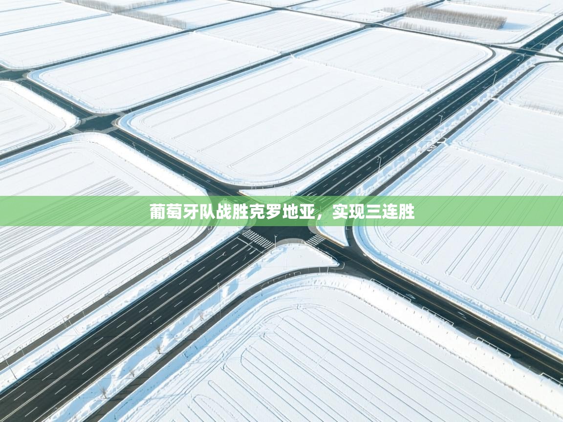 开云体育iOS安装教程-葡萄牙队战胜克罗地亚，实现三连胜