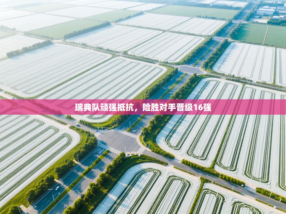 开云体育app官网入口网页版-瑞典队顽强抵抗，险胜对手晋级16强