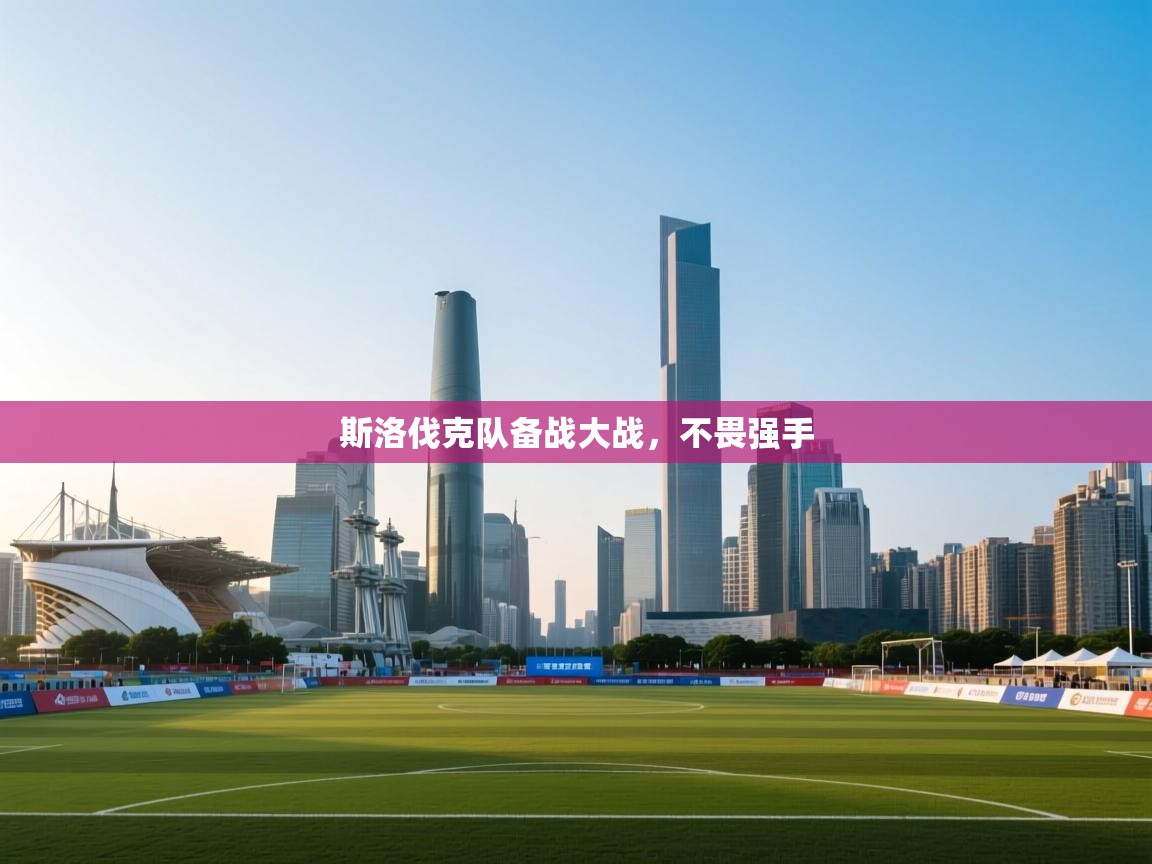 开云体育PC版网页版登录-斯洛伐克队备战大战，不畏强手