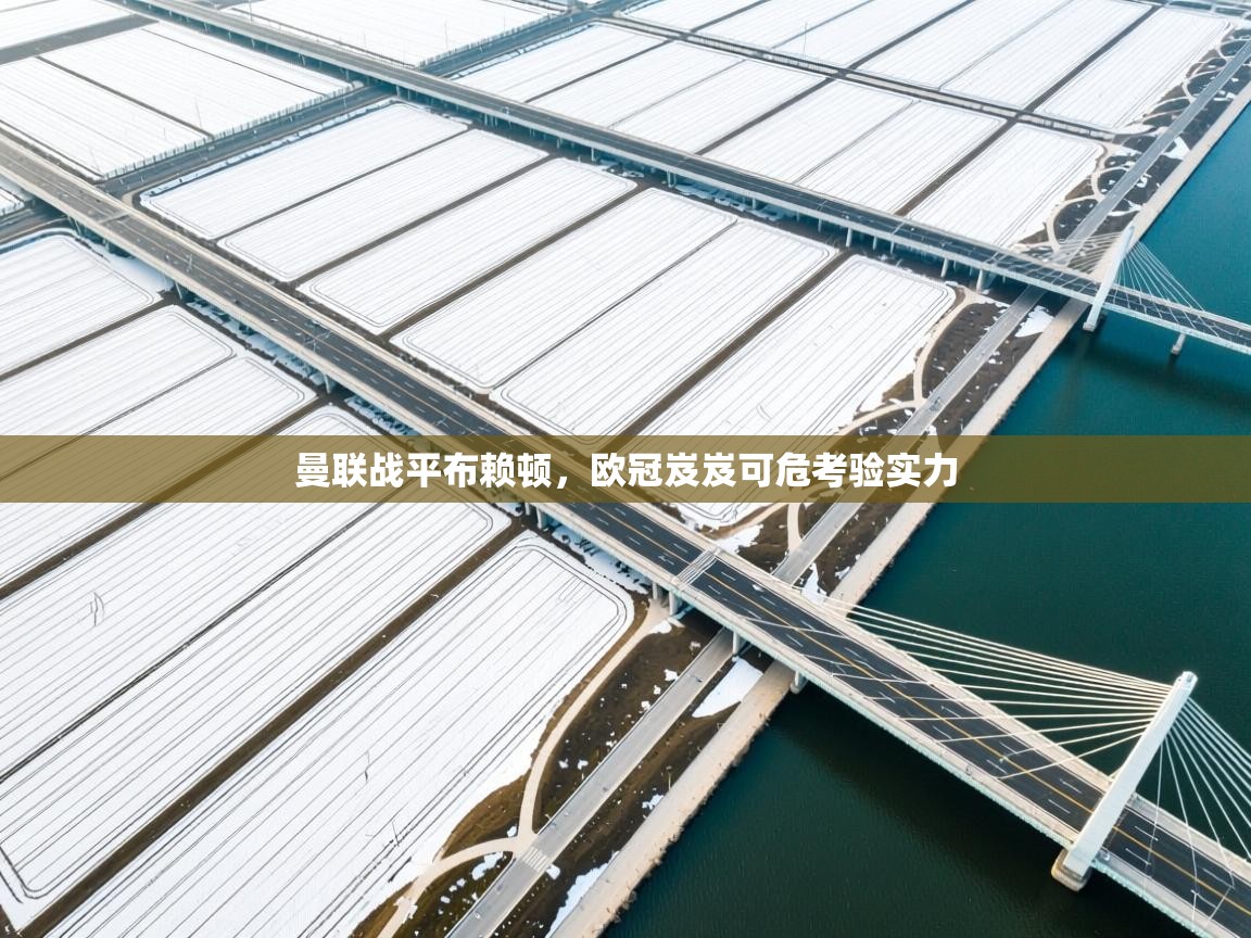 开云体育app下载官网-曼联战平布赖顿，欧冠岌岌可危考验实力  第3张