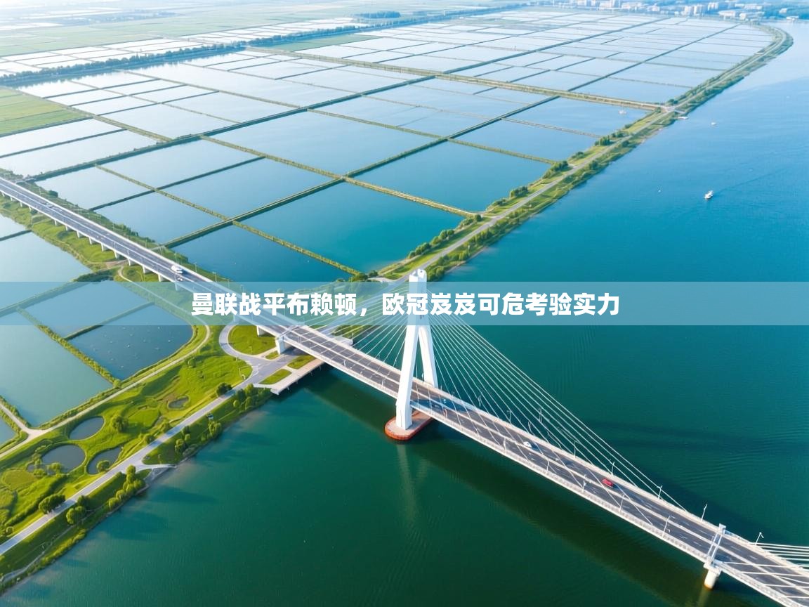 开云体育app下载官网-曼联战平布赖顿，欧冠岌岌可危考验实力  第4张